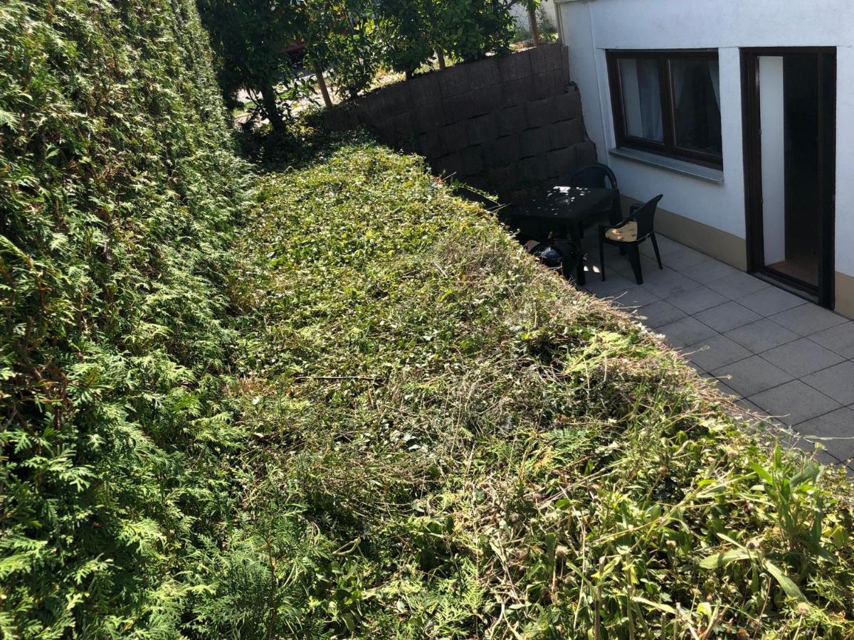 Ferienwohnung Familie Hinrichs Dorn-Durkheim Buitenkant foto